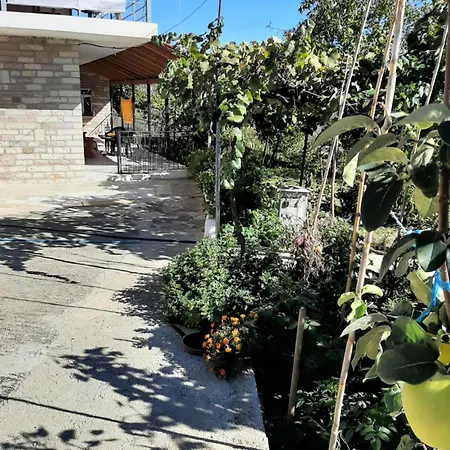 Garufalia * Peshkepi e Poshtme