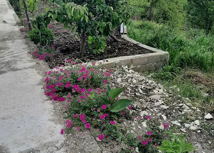 Apartment Garufalia *