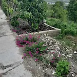 Apartmán Garufalia *