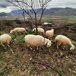 Garufalia 公寓 Peshkepi e Poshtme