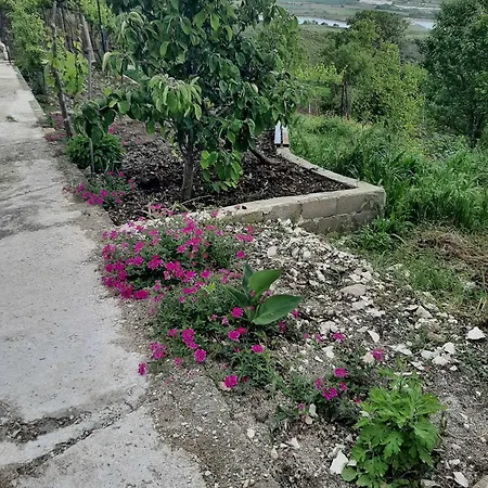 Apartament Garufalia *