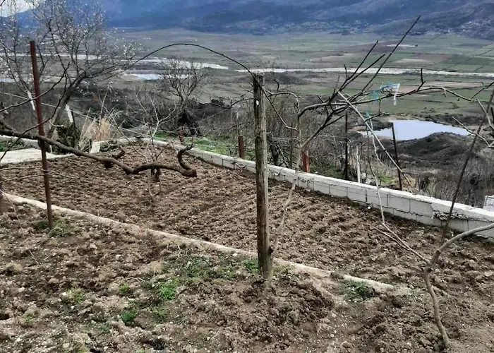 Appartement Garufalia *