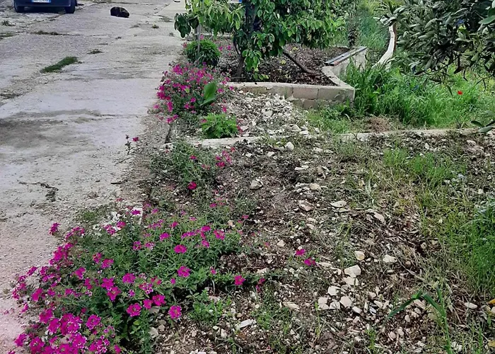 Appartement Garufalia